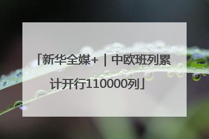 新华全媒+｜中欧班列累计开行110000列