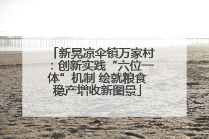新晃凉伞镇万家村：创新实践“六位一体”机制 绘就粮食稳产增收新图景
