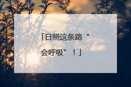 日照这条路“会呼吸”！