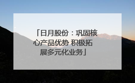 日月股份：巩固核心产品优势 积极拓展多元化业务