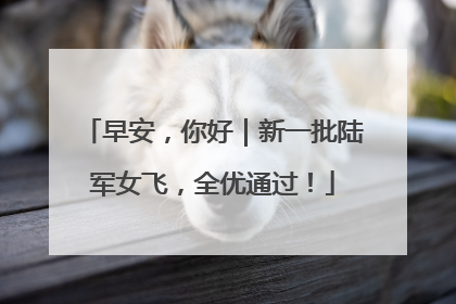 早安，你好｜新一批陆军女飞，全优通过！