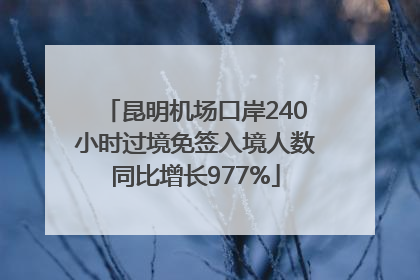 昆明机场口岸240小时过境免签入境人数同比增长977%