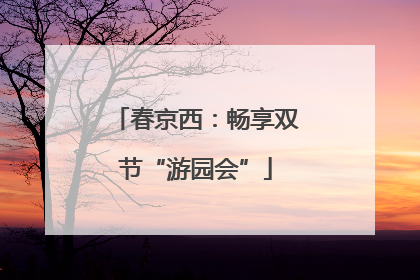 春京西：畅享双节“游园会”