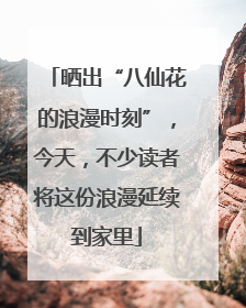 晒出“八仙花的浪漫时刻”，今天，不少读者将这份浪漫延续到家里
