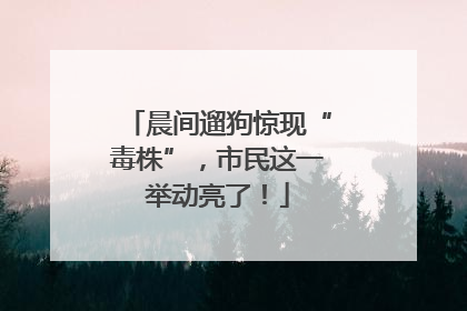 晨间遛狗惊现“毒株”，市民这一举动亮了！