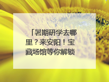 暑期研学去哪里？来安阳！宝藏场馆等你解锁文化“凉方”