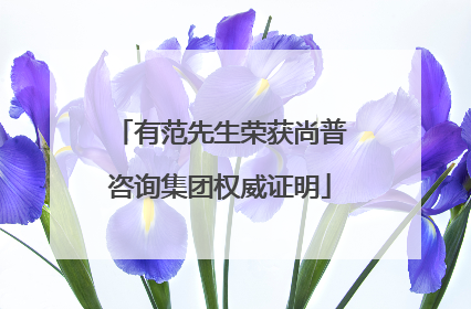 有范先生荣获尚普咨询集团权威证明