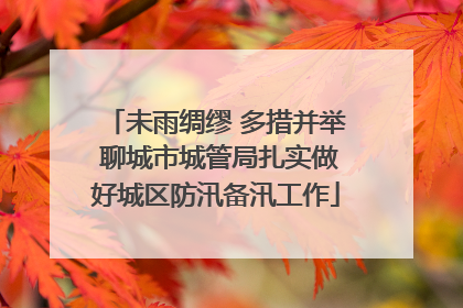 未雨绸缪 多措并举 聊城市城管局扎实做好城区防汛备汛工作