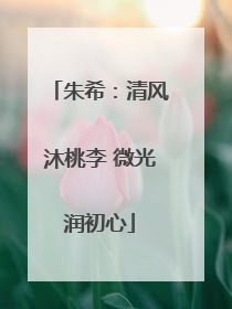 朱希：清风沐桃李 微光润初心