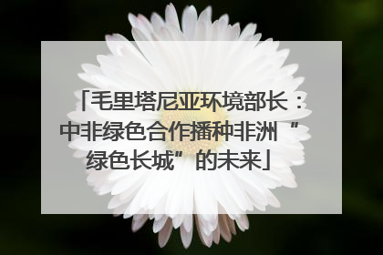 毛里塔尼亚环境部长：中非绿色合作播种非洲“绿色长城”的未来