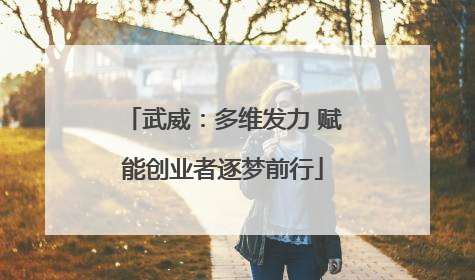 武威：多维发力 赋能创业者逐梦前行