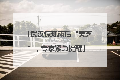武汉惊现雨后“灵芝”，专家紧急提醒