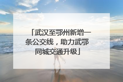 武汉至鄂州新增一条公交线，助力武鄂同城交通升级