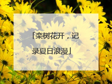 栾树花开，记录夏日浪漫
