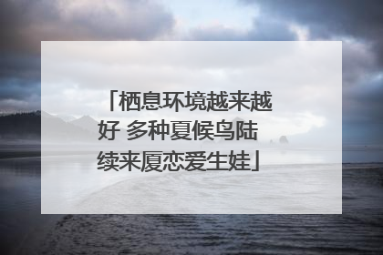 栖息环境越来越好 多种夏候鸟陆续来厦恋爱生娃