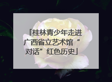 桂林青少年走进广西省立艺术馆“对话”红色历史