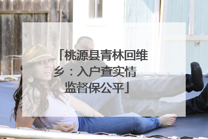 桃源县青林回维乡：入户查实情 监督保公平