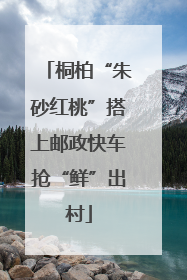 桐柏“朱砂红桃”搭上邮政快车抢“鲜”出村