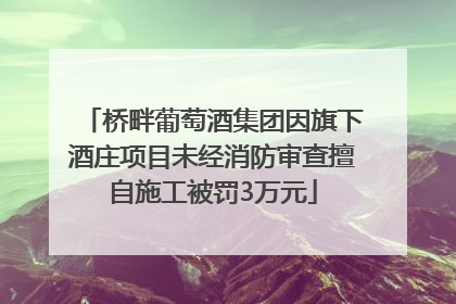 桥畔葡萄酒集团因旗下酒庄项目未经消防审查擅自施工被罚3万元