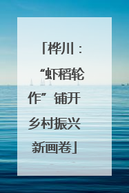 桦川：“虾稻轮作”铺开乡村振兴新画卷