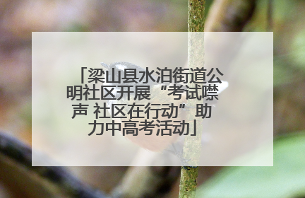 梁山县水泊街道公明社区开展“考试噤声 社区在行动”助力中高考活动