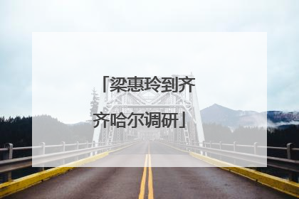 梁惠玲到齐齐哈尔调研