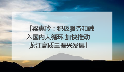 梁惠玲：积极服务和融入国内大循环 加快推动龙江高质量振兴发展