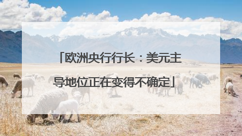 欧洲央行行长：美元主导地位正在变得不确定