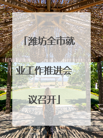 潍坊全市就业工作推进会议召开