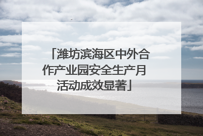 潍坊滨海区中外合作产业园安全生产月活动成效显著
