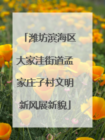 潍坊滨海区大家洼街道孟家庄子村文明新风展新貌