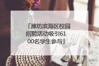 潍坊滨海区校园招聘活动吸引6100名学生参与