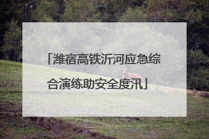 潍宿高铁沂河应急综合演练助安全度汛