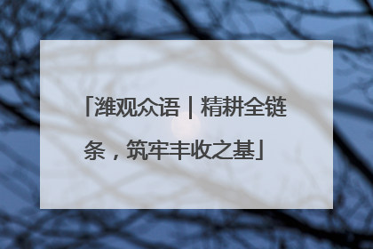 潍观众语｜精耕全链条，筑牢丰收之基