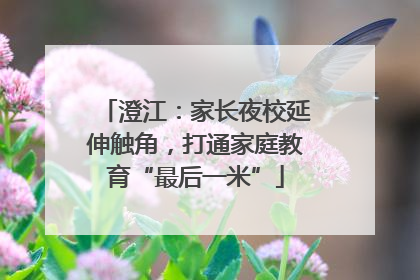 澄江：家长夜校延伸触角，打通家庭教育“最后一米”