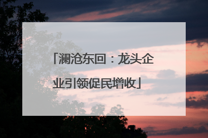 澜沧东回：龙头企业引领促民增收