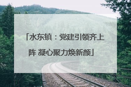 水东镇：党建引领齐上阵 凝心聚力焕新颜