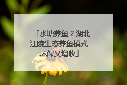水塘养鱼？湖北江陵生态养鱼模式环保又增收