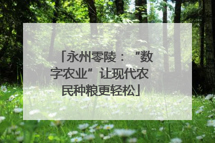 永州零陵：“数字农业”让现代农民种粮更轻松