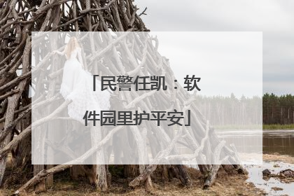 民警任凯：软件园里护平安