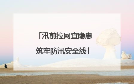汛前拉网查隐患 筑牢防汛安全线