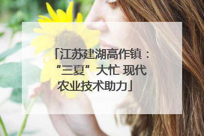 江苏建湖高作镇：“三夏”大忙 现代农业技术助力