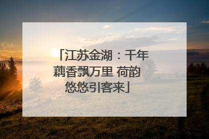 江苏金湖：千年藕香飘万里 荷韵悠悠引客来