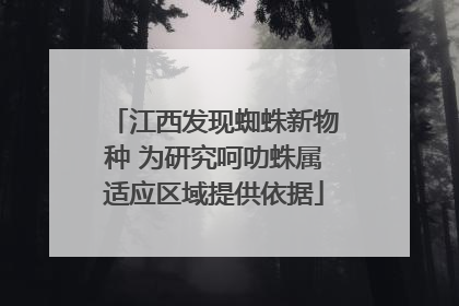 江西发现蜘蛛新物种 为研究呵叻蛛属适应区域提供依据