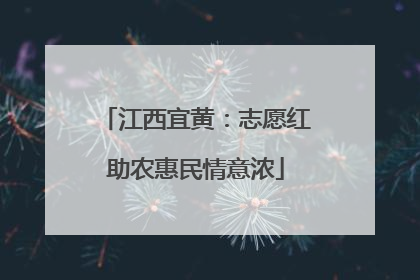 江西宜黄：志愿红助农惠民情意浓