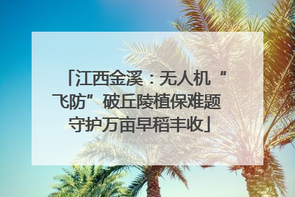 江西金溪：无人机“飞防”破丘陵植保难题 守护万亩早稻丰收