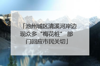 池州城区清溪河岸边现众多“梅花桩” 部门回应市民关切