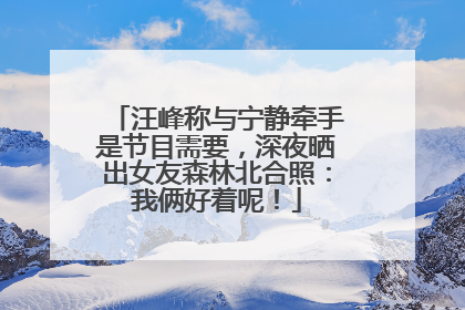 汪峰称与宁静牵手是节目需要，深夜晒出女友森林北合照：我俩好着呢！