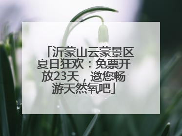沂蒙山云蒙景区夏日狂欢：免票开放23天，邀您畅游天然氧吧