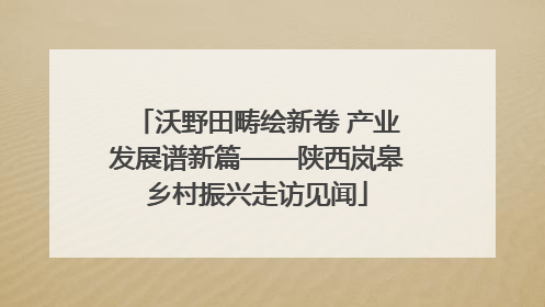 沃野田畴绘新卷 产业发展谱新篇——陕西岚皋乡村振兴走访见闻